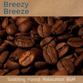 Soothing Forest Relaxation Bgm