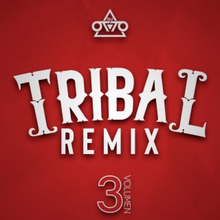 Tribal Remix, Vol. 3