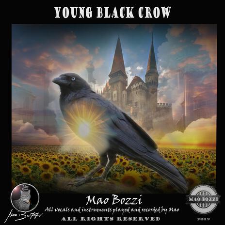 Young black crow | Boomplay Music