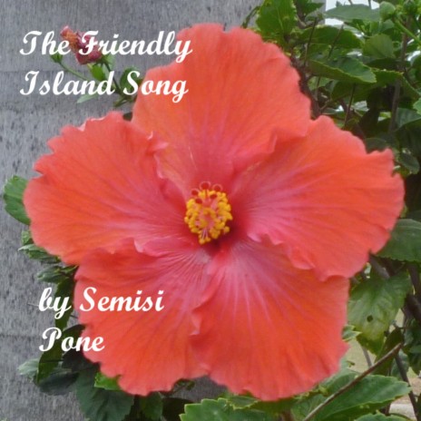 The Friendly Island Song | Boomplay Music