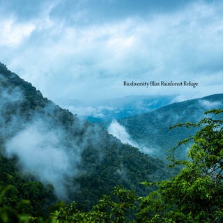 Biodiversity Bliss: Rainforest Refuge