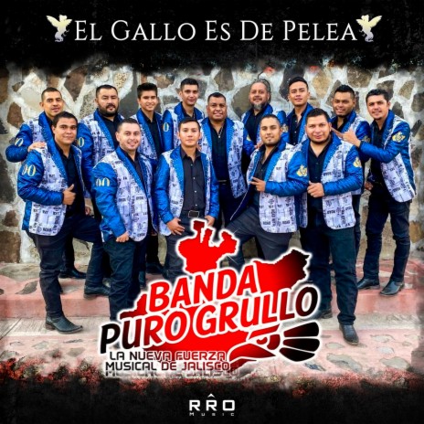 El Gallo es de Pelea | Boomplay Music