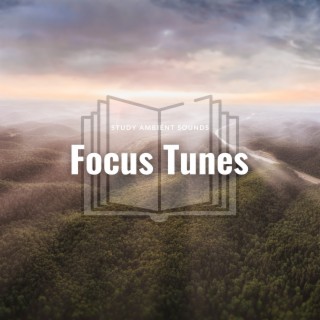 Focus Tunes: Ambient Chill for Deep Study