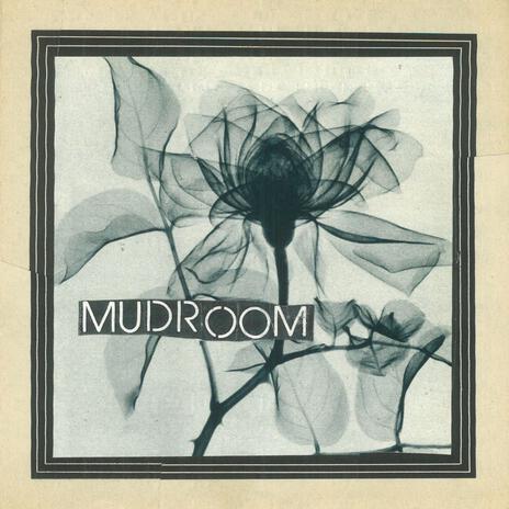 Mudroom | Boomplay Music