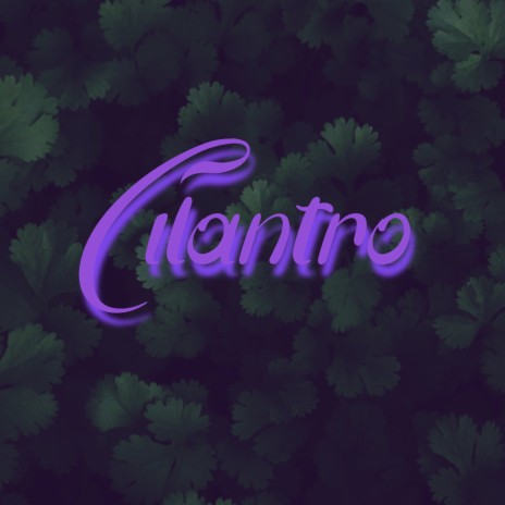 Cilantro | Boomplay Music