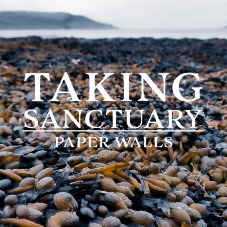 paper walls | Boomplay Music