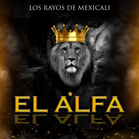 El Alfa | Boomplay Music