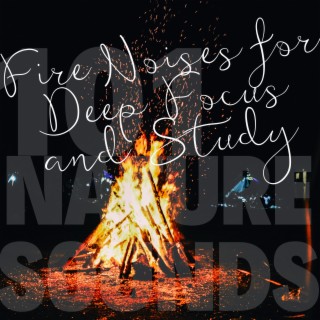 Fire Noises for Deep Focus and Study