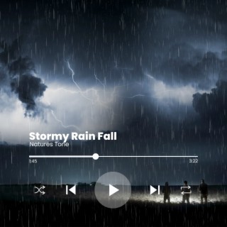 Stormy Rain Sounds