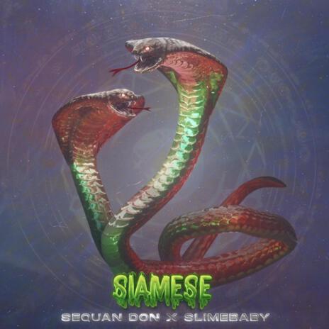 Siamese ft. Slimebaby | Boomplay Music