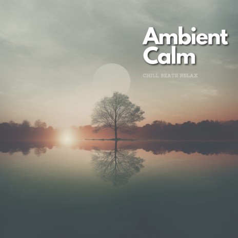 Meditating Ambient Tune to Nourish Your Mind | Boomplay Music