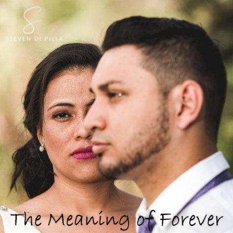 The Meaning of Forever