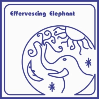 Effervescing Elephant