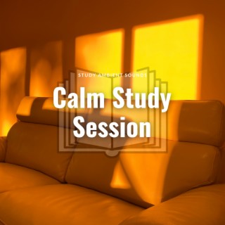 Calm Study Session: Ambient Sounds for Focus