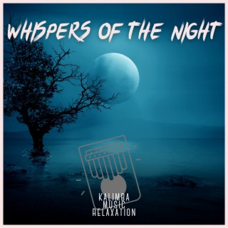 Whispers of the Night: Serene Nature Sounds