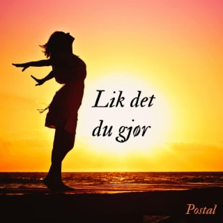 Lik det du gjør