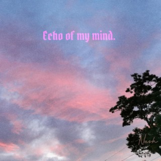 Echo of My Mind Freestyle