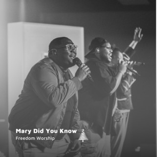 Mary Did You Know ft. Greg Brown & Marcus Brookins lyrics | Boomplay Music