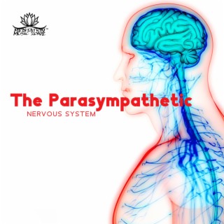 The Parasympathetic Nervous System: Stress Recovery and Slow Breathing, Volume 2, Psychotherapeutic Exercises at Home
