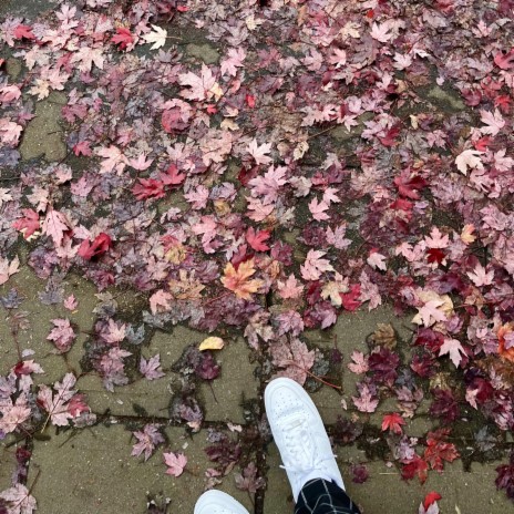 the autumn leaves fall hard in october