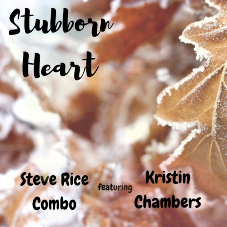 Stubborn Heart ft. Kristin Chambers | Boomplay Music