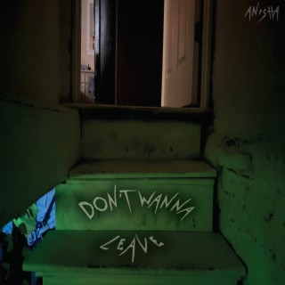 Don't Wanna Leave lyrics | Boomplay Music