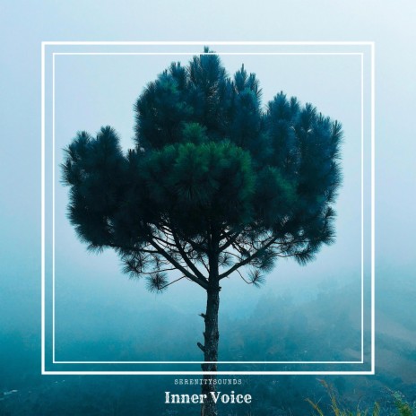 Inner Voice | Boomplay Music