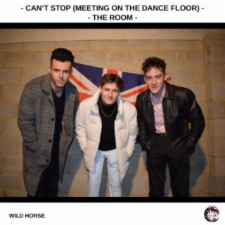 CAN'T STOP (MEETING ON THE DANCE FLOOR)