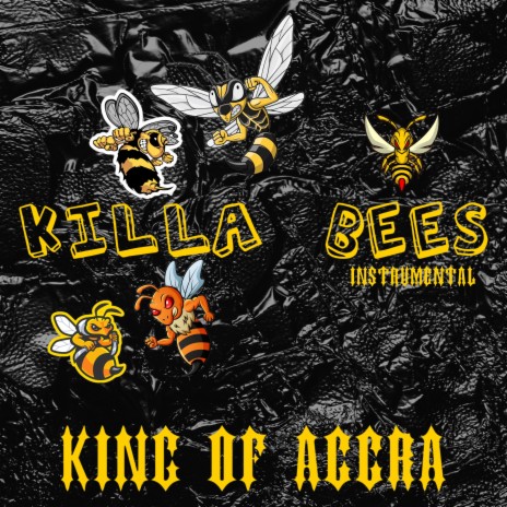 Killa Bees (INSTRUMENTAL)