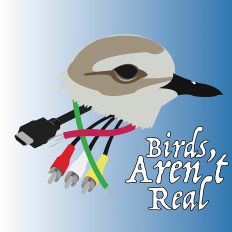 Birds Aren't Real ft. Jaxon Hinds | Boomplay Music