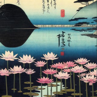 Lotus Pond