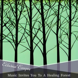 Music Invites You To A Healing Forest