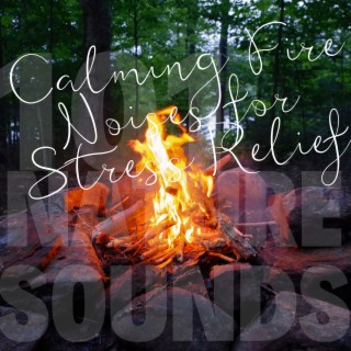 Calming Fire Noises for Stress Relief