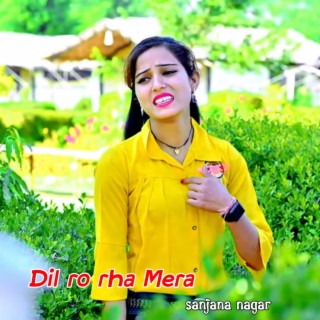 Dil Ro Rha Mera