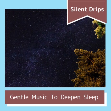 Sleeping to the Dream | Boomplay Music