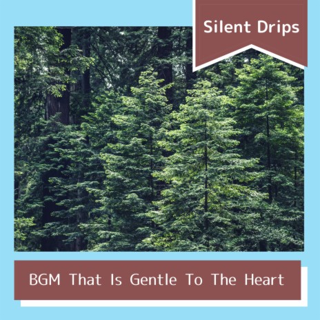 Essential Oils of the Land | Boomplay Music