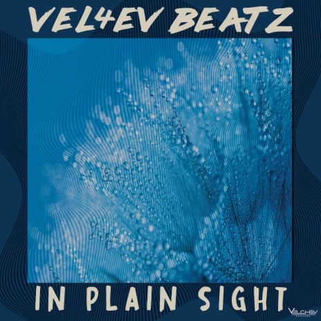 In Plain Sight | Boomplay Music