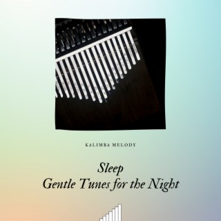 Sleep: Gentle Tunes for the Night