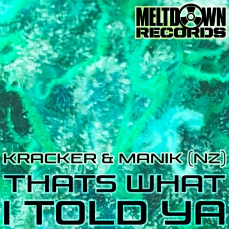 That's What I Told Ya ft. Manik (NZ)