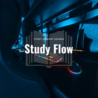 Study Flow: Serene Ambient Sounds