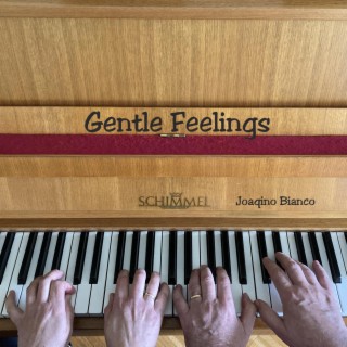 Gentle Feelings