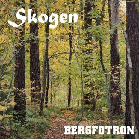 Skogen | Boomplay Music