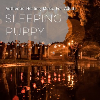 Authentic Healing Music For Adults