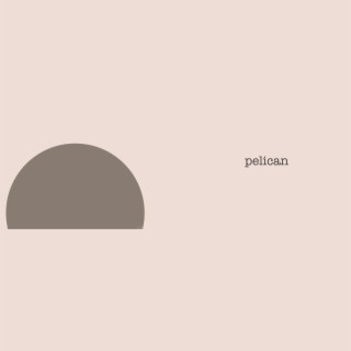 pelican