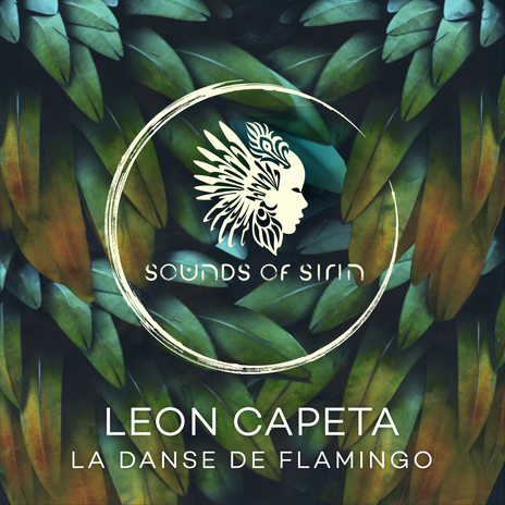 La Danse de Flamingo | Boomplay Music