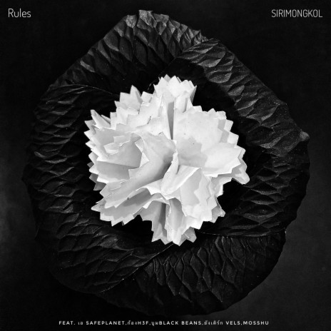 Rules ft. safeplanet, H 3 F, Blackbeans, VELS. & mosshu | Boomplay Music