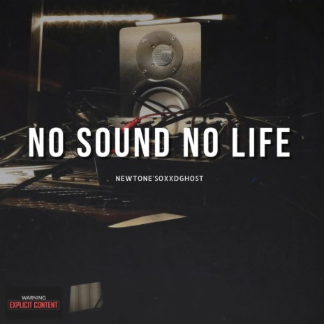 No Sound No Life
