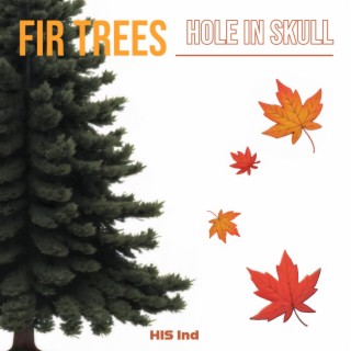 Fir Trees lyrics | Boomplay Music