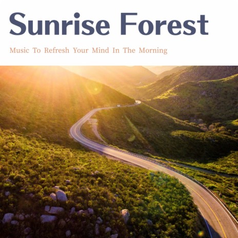 The Morning is the Best Time | Boomplay Music