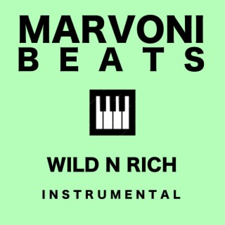 Wild n Rich (Instrumental)